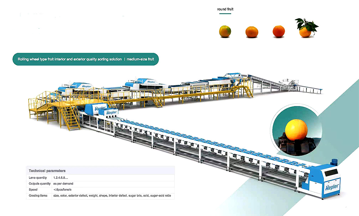 Lemon rolling wheel type fruit interior and exterior quanlity and sorting solution