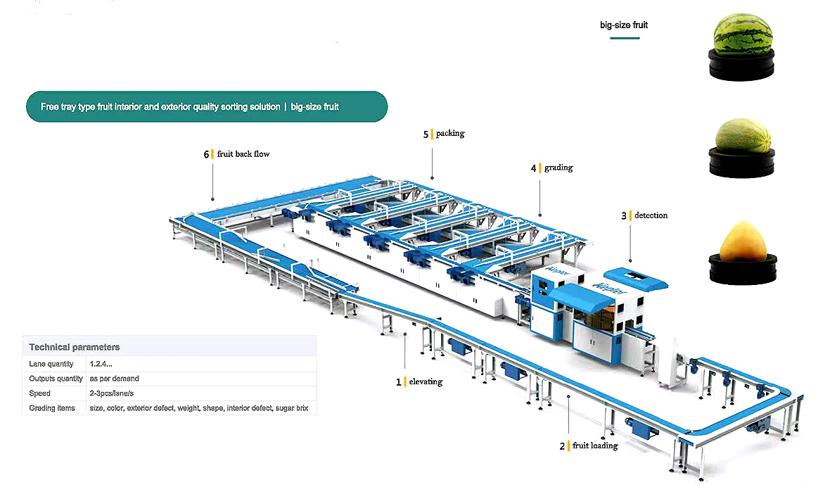 mango sorting machine-1