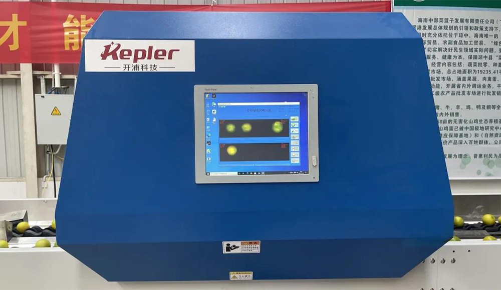 果品外部品质检测